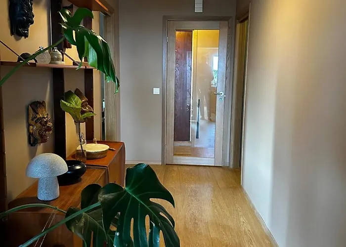 Sunset Penthouse With A Large Terrace & Fjord View *